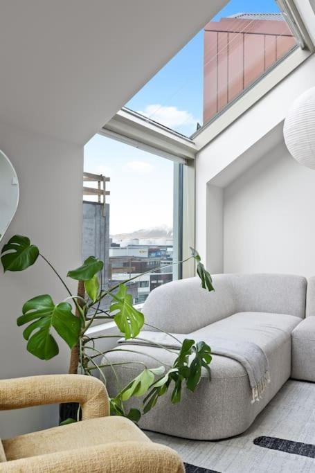 Skylight Lux 3br/2ba Center With Free Parking * Reykjavik