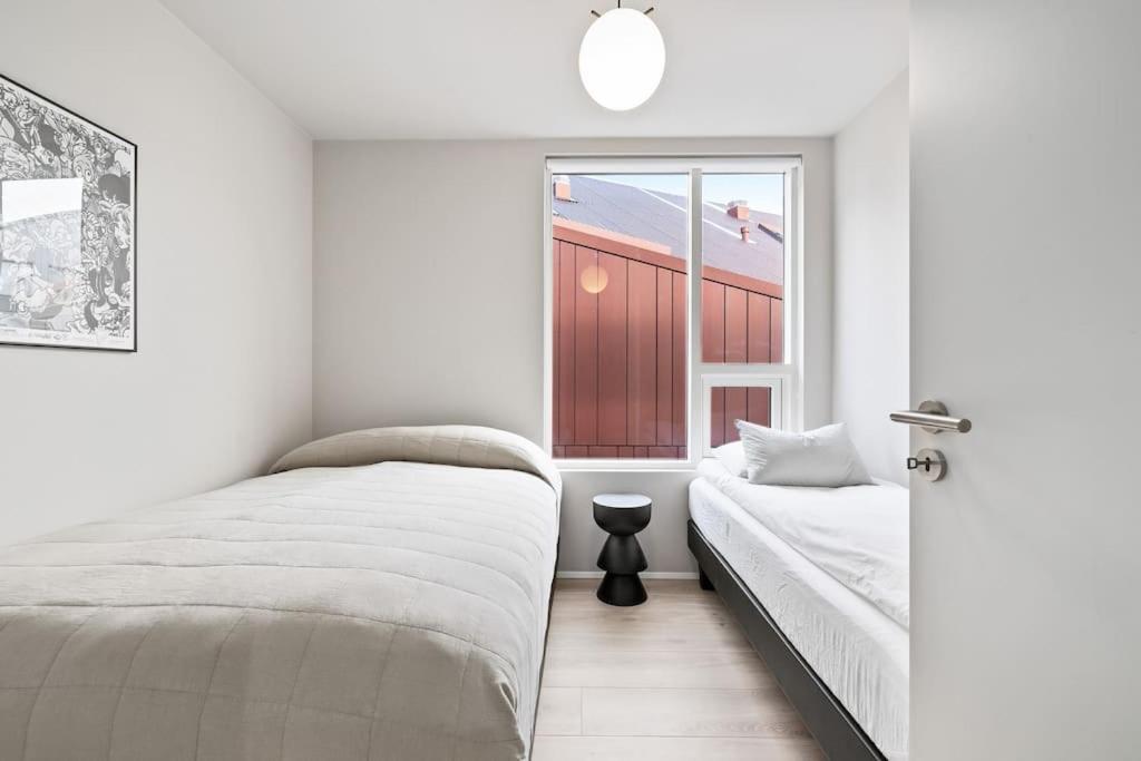 Skylight Lux 3br/2ba Center With Free Parking Apartment Reykjavik