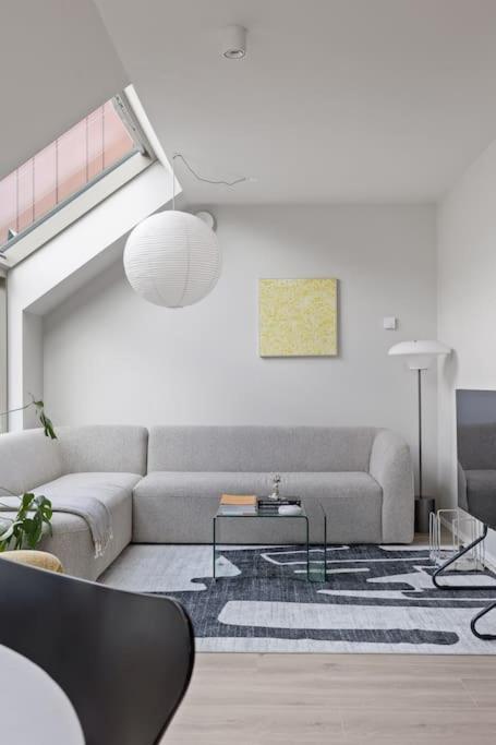 Apartment Skylight Lux 3br/2ba Center With Free Parking