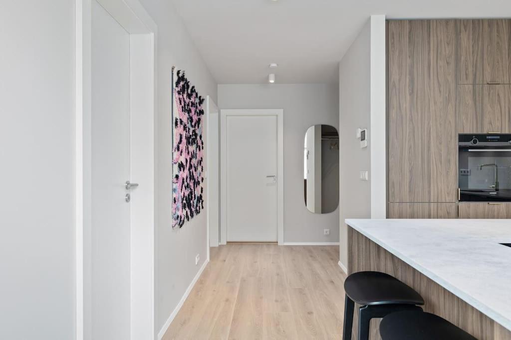 Apartment Skylight Lux 3br/2ba Center With Free Parking *