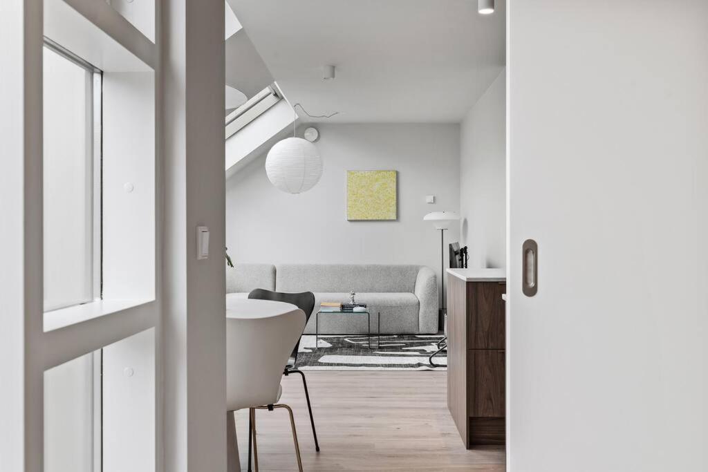 Skylight Lux 3br/2ba Center With Free Parking Apartment